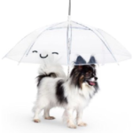 【ヒルナンデス】ペット用の傘！雨でも犬の散歩OK♪口コミまとめ（通販・お取り寄せ）