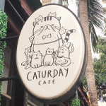 BTSラチャテーウィー駅前の猫カフェ『CATURDAY CAFE』in バンコク